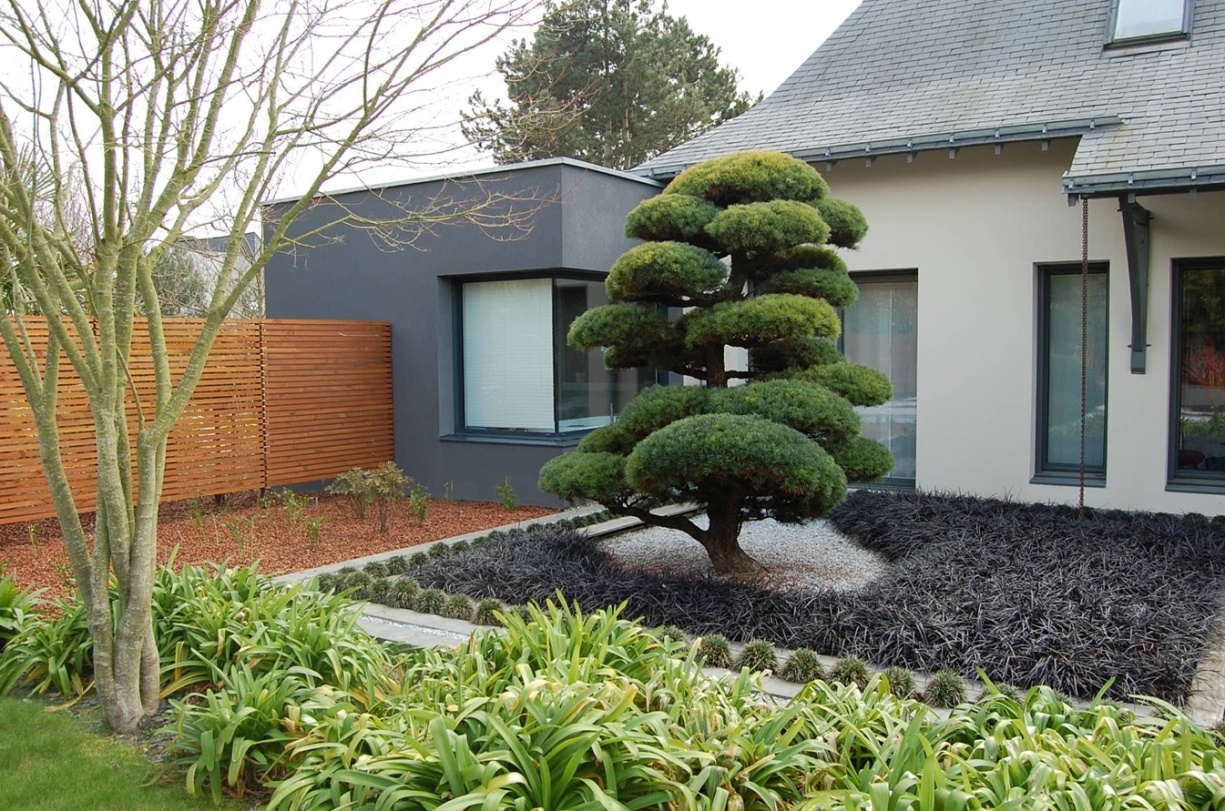 Extension d'une maison individuelle MURS ERIGNE  (49)